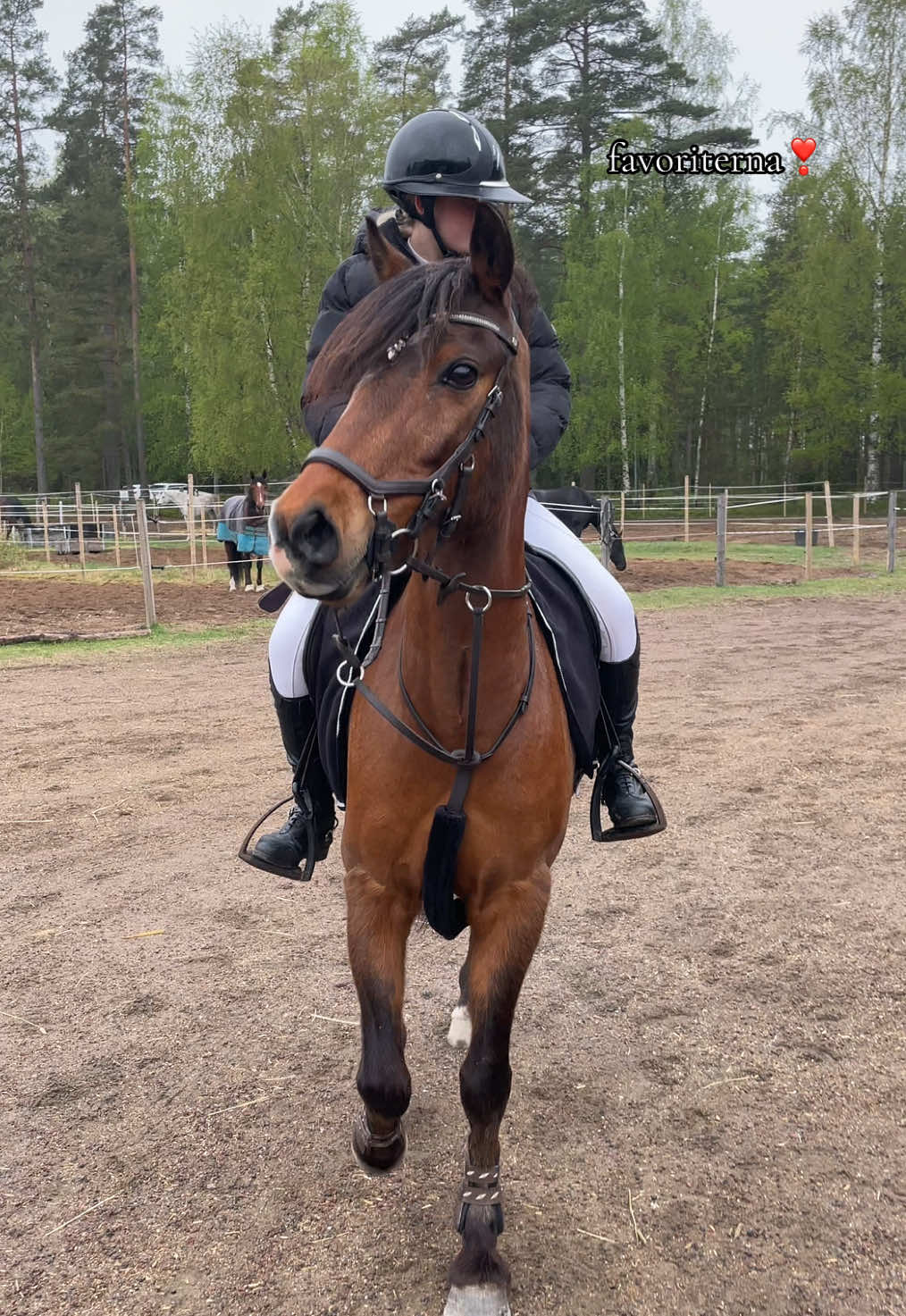 @🇸🇪Meja Karlsson🇸🇪