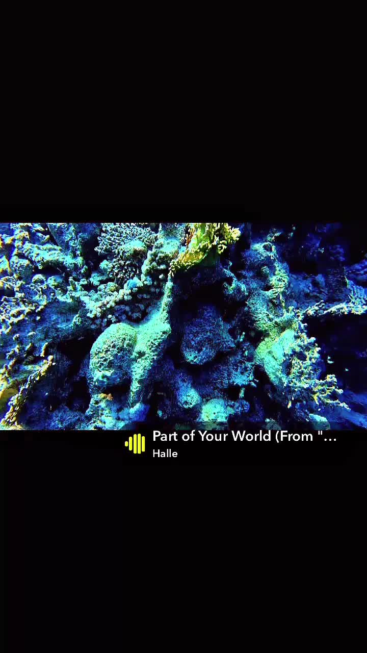 @D.Damazyn