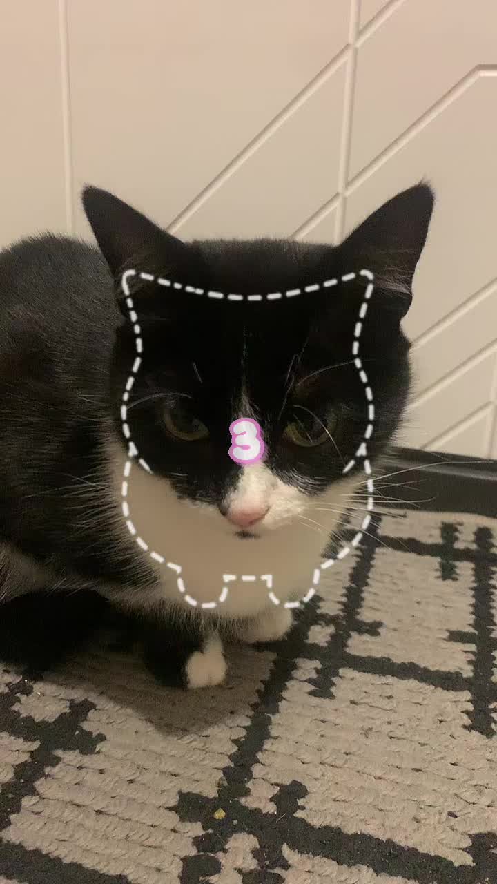 @Sashuny💜
