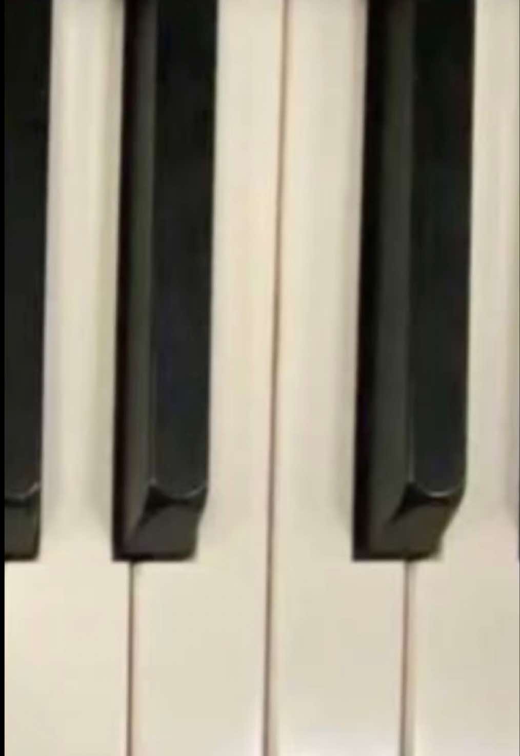 @♫♪丰 𝐇𝐨𝐥𝐥𝐲 丰♫♪