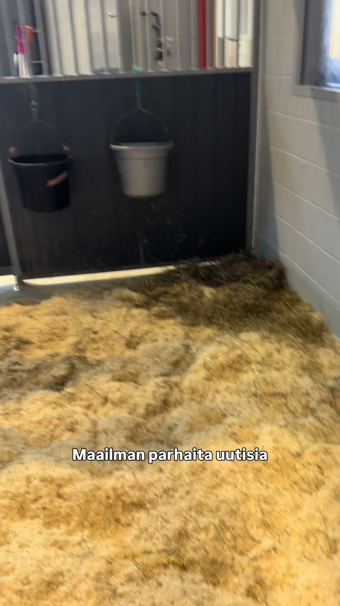 @Minja Hindstr&ouml;m