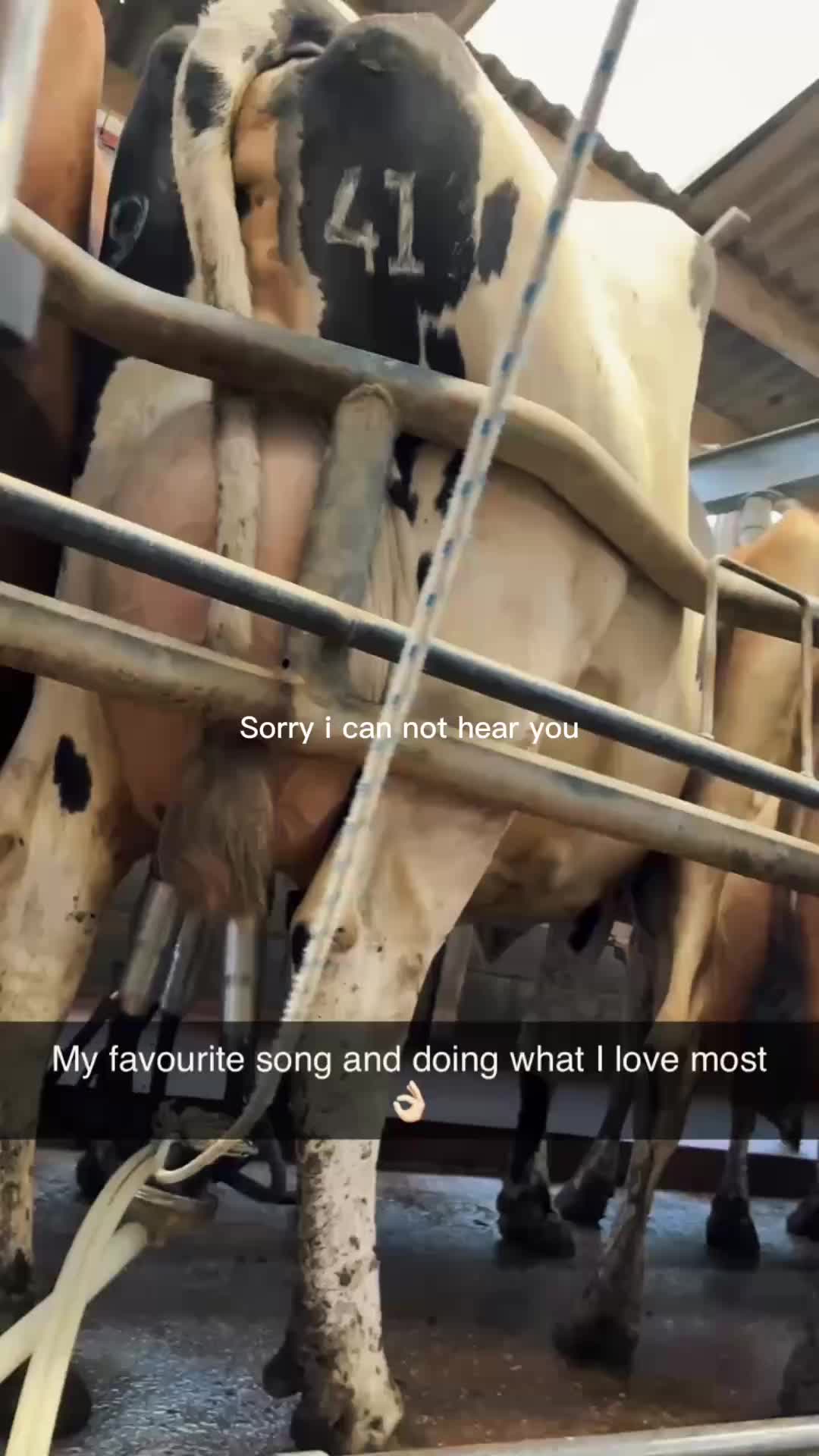 @nataliecountrygirl