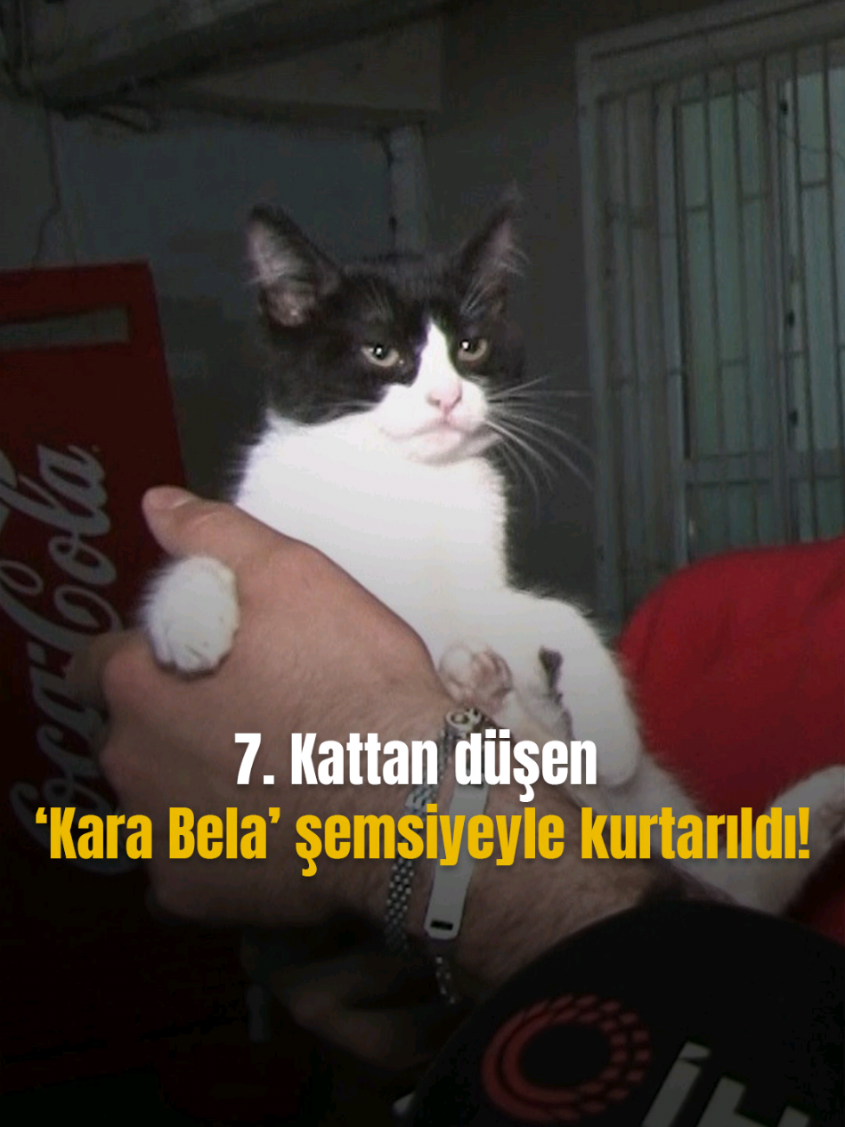 @Mynet