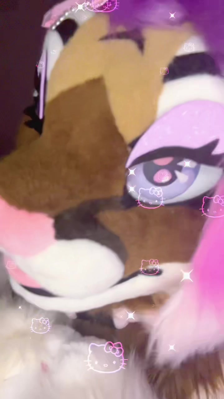 @🤍🎀 𝓐𝓷𝓰𝓮𝓵 🎀🤍CFZ2026