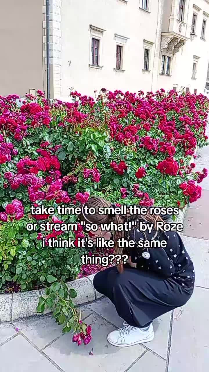 @Roze
