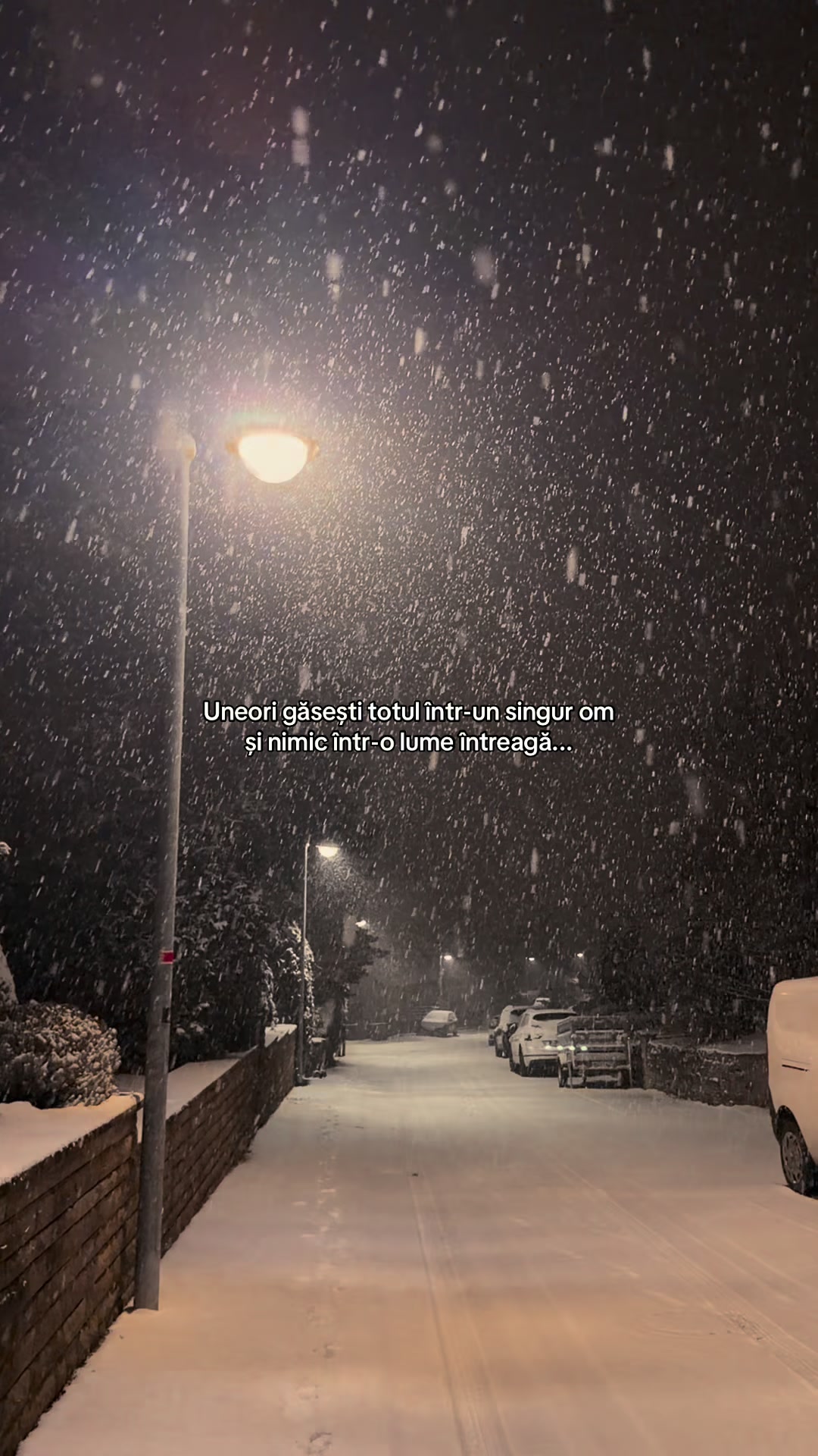 @Ingrid Șerban