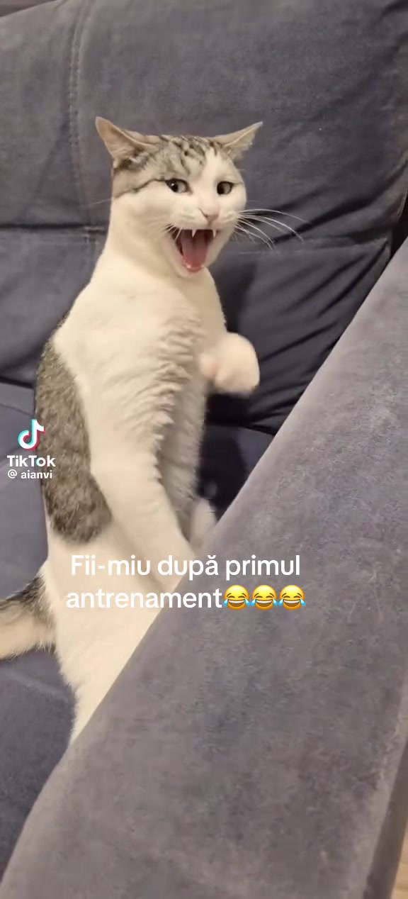 @Ancuta