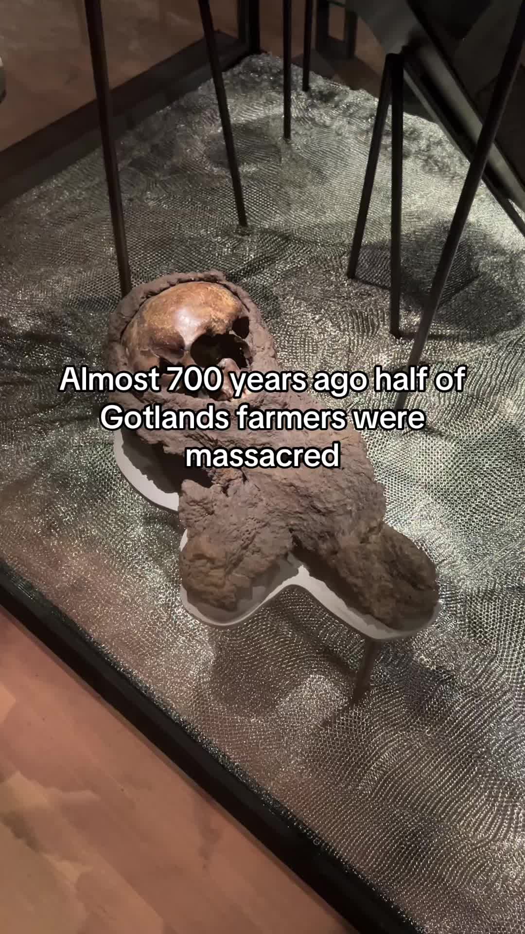 @stephthearchaeologist