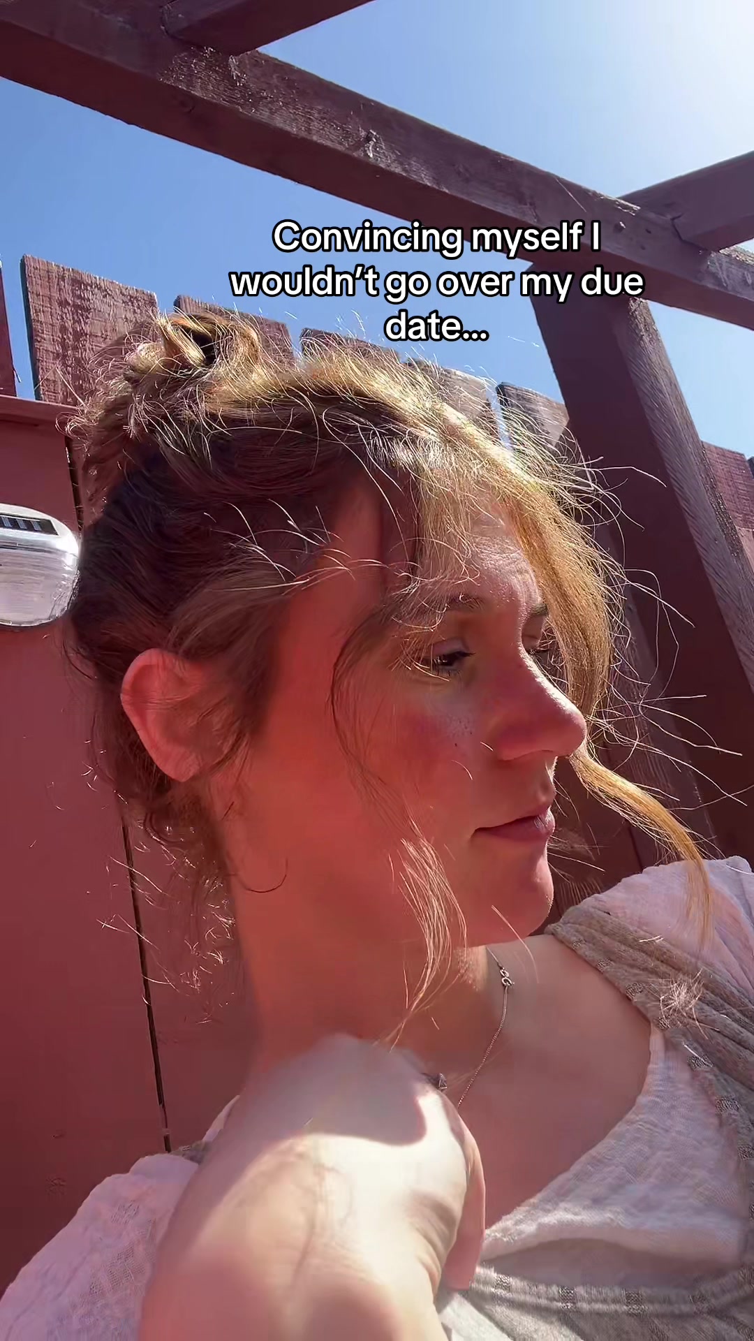 @2dogsandababy