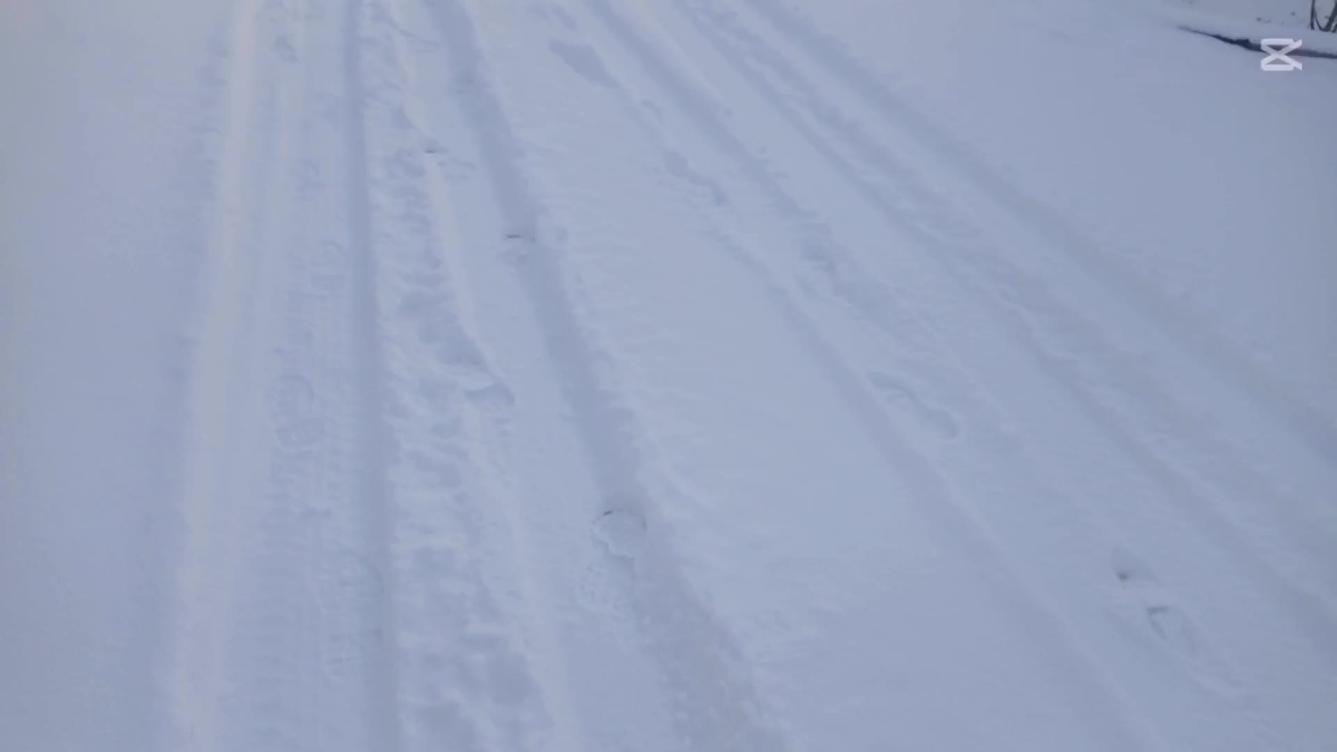 @Sushant Budha800