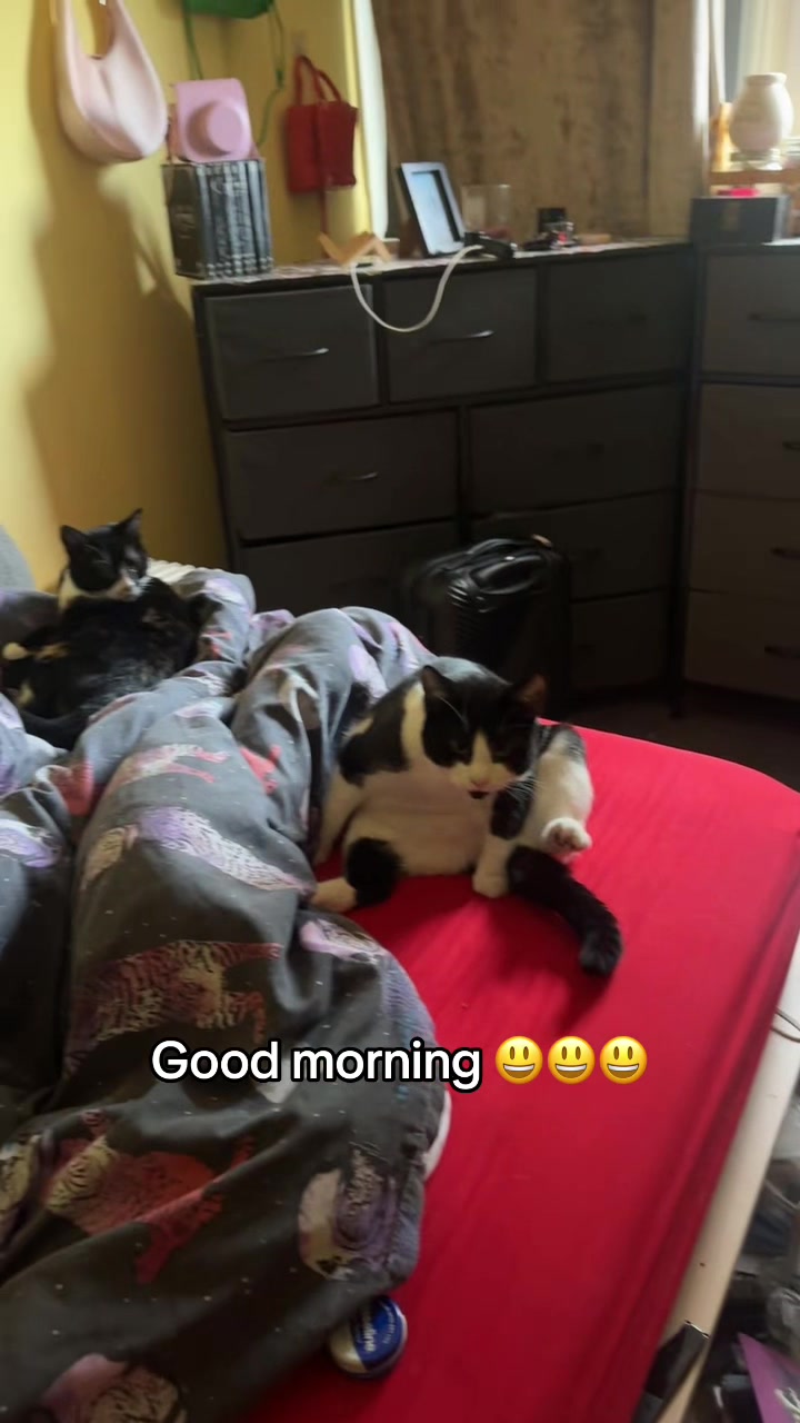 @Paigeyy