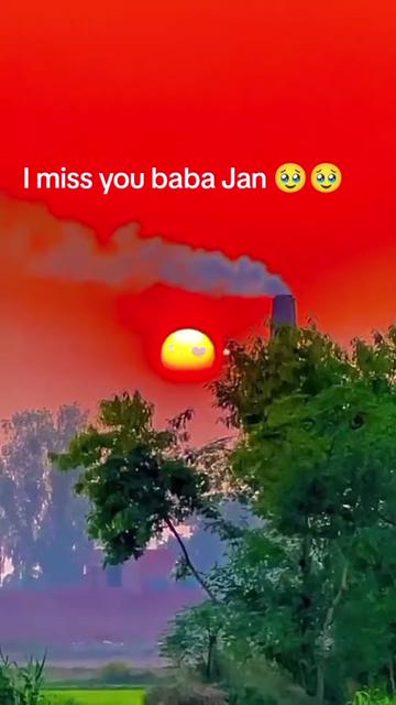 @رضوی کہتے ہیں جناب🇵🇰🇸🇦