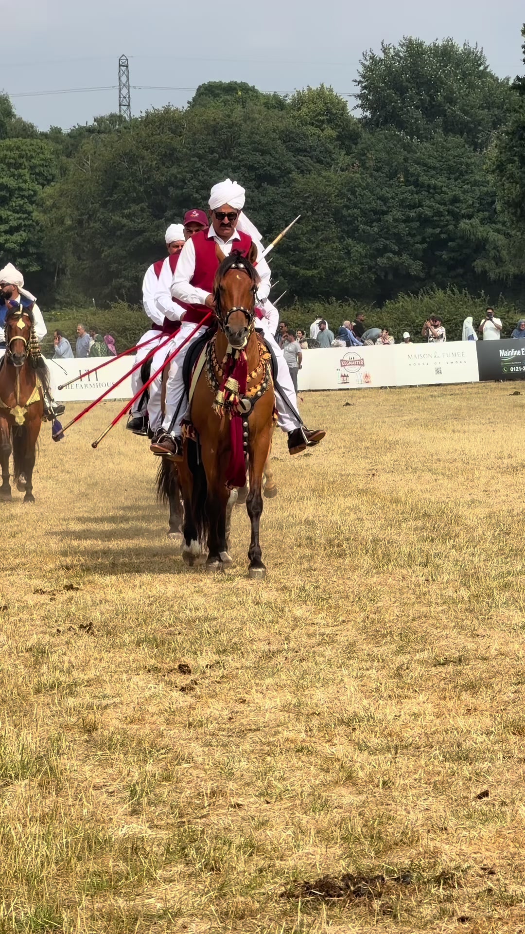 @Slough horses