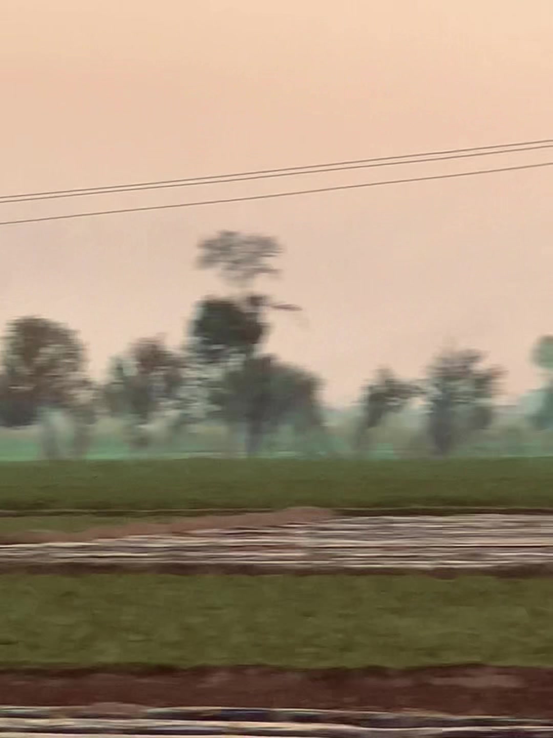 @میراپنجاب🌾🌞🌳