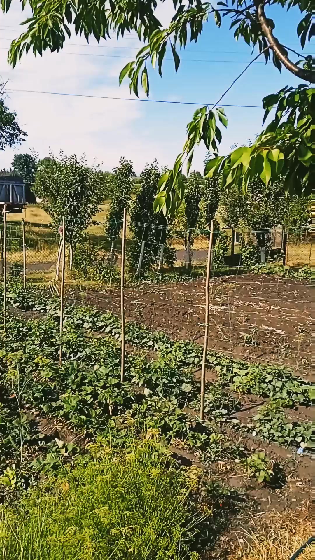 @Кирилович СВК.