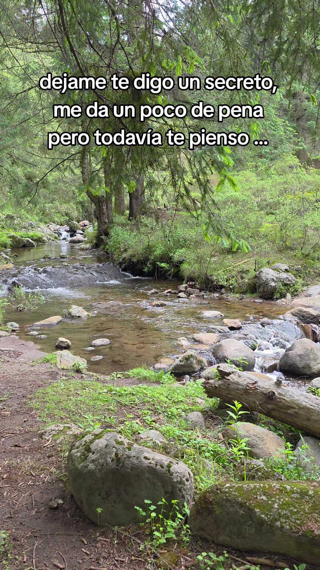 @dulce