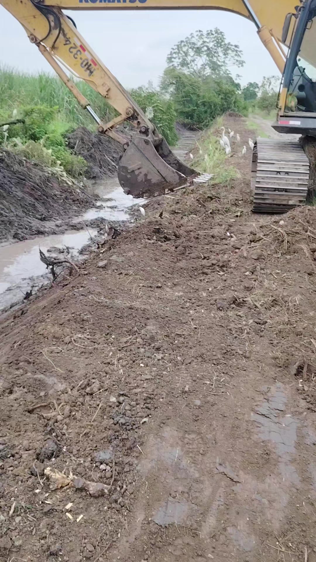 @🗻🤠Sayri .🏡,Thupag👷🚜