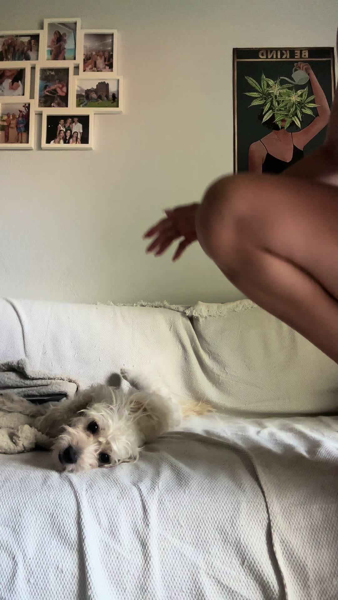 @jorjin&alpha;