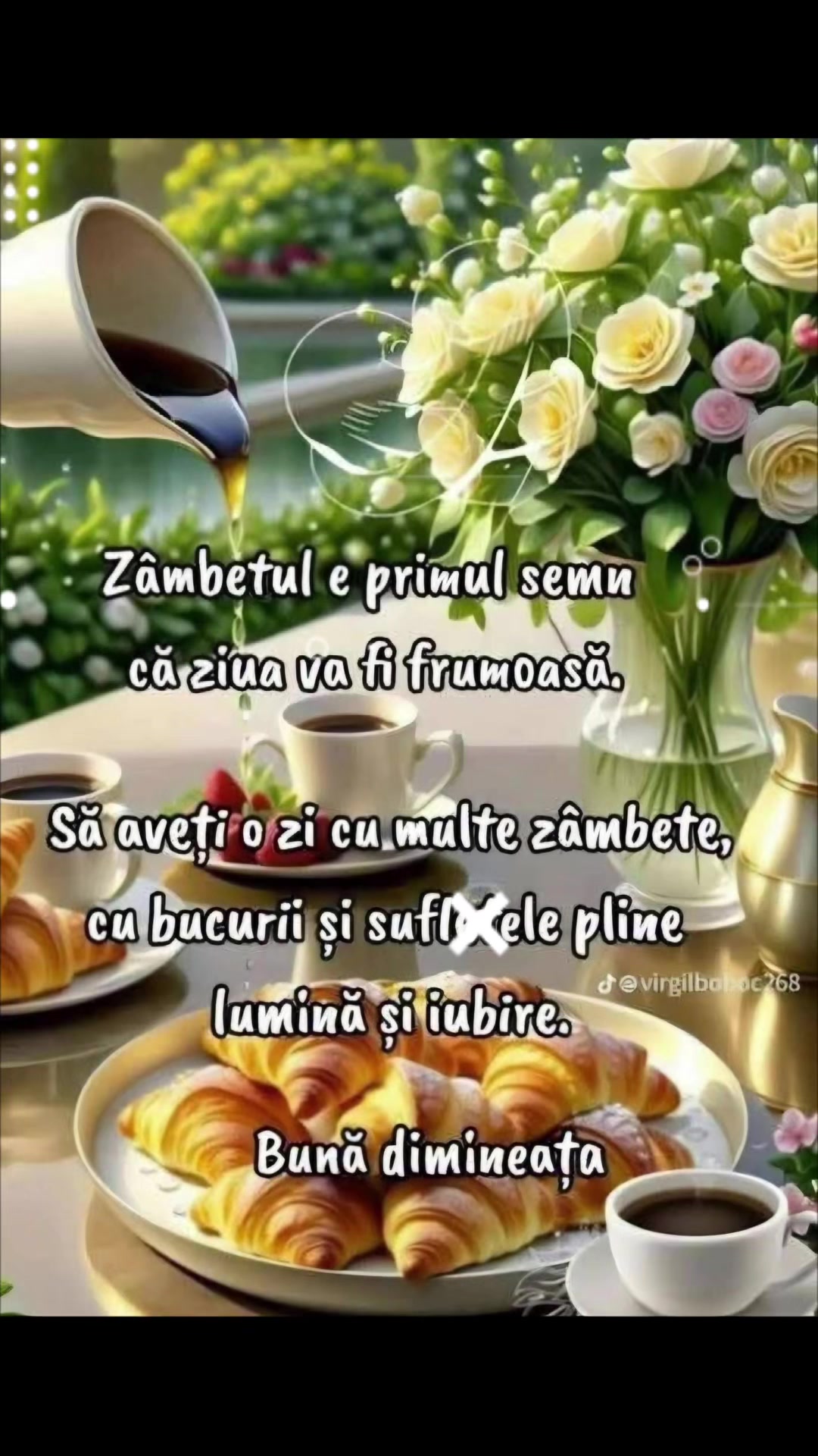 @Virginia Topliceanu