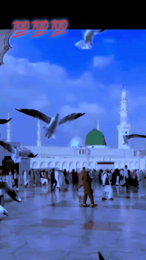 @Tariq Sultani