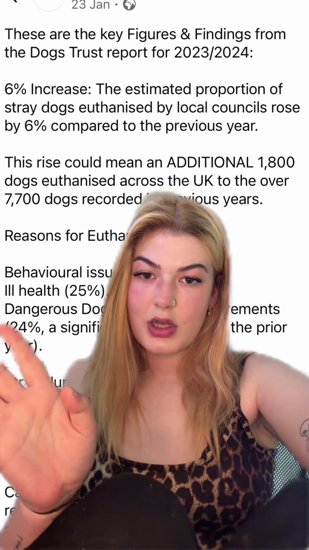 @danibeardall