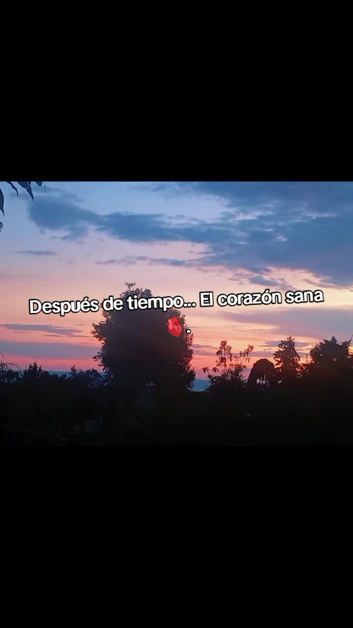 @Brenda Alonso