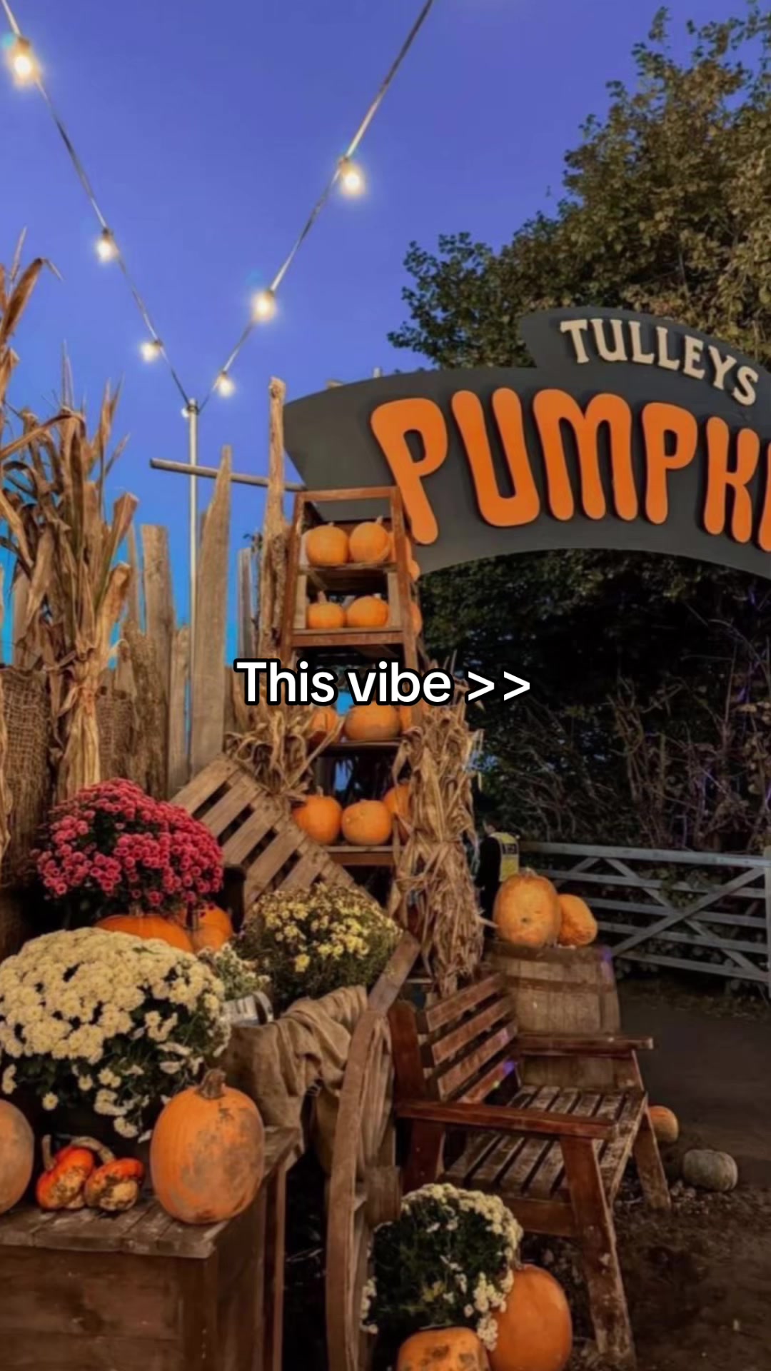 @𝐒𝐭✰𝐫𝐠𝐢𝐫𝐥