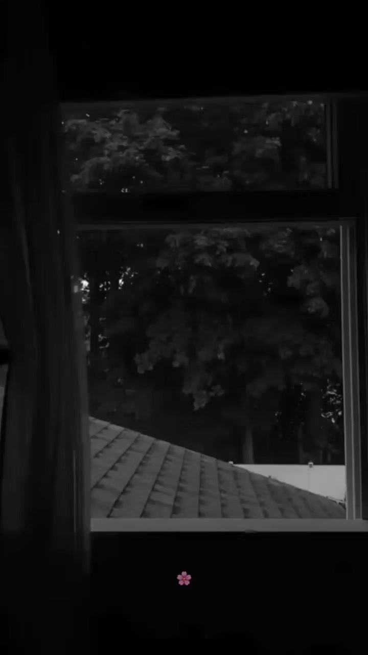 @đđąđŞđ¸đź đ đžđŽđŽđˇđđ