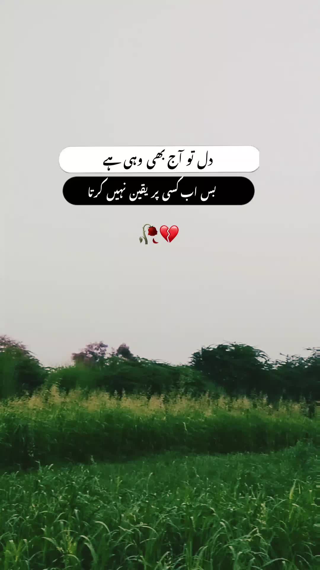 @🖤☬ ٹوٹا دِل ☬🖤
