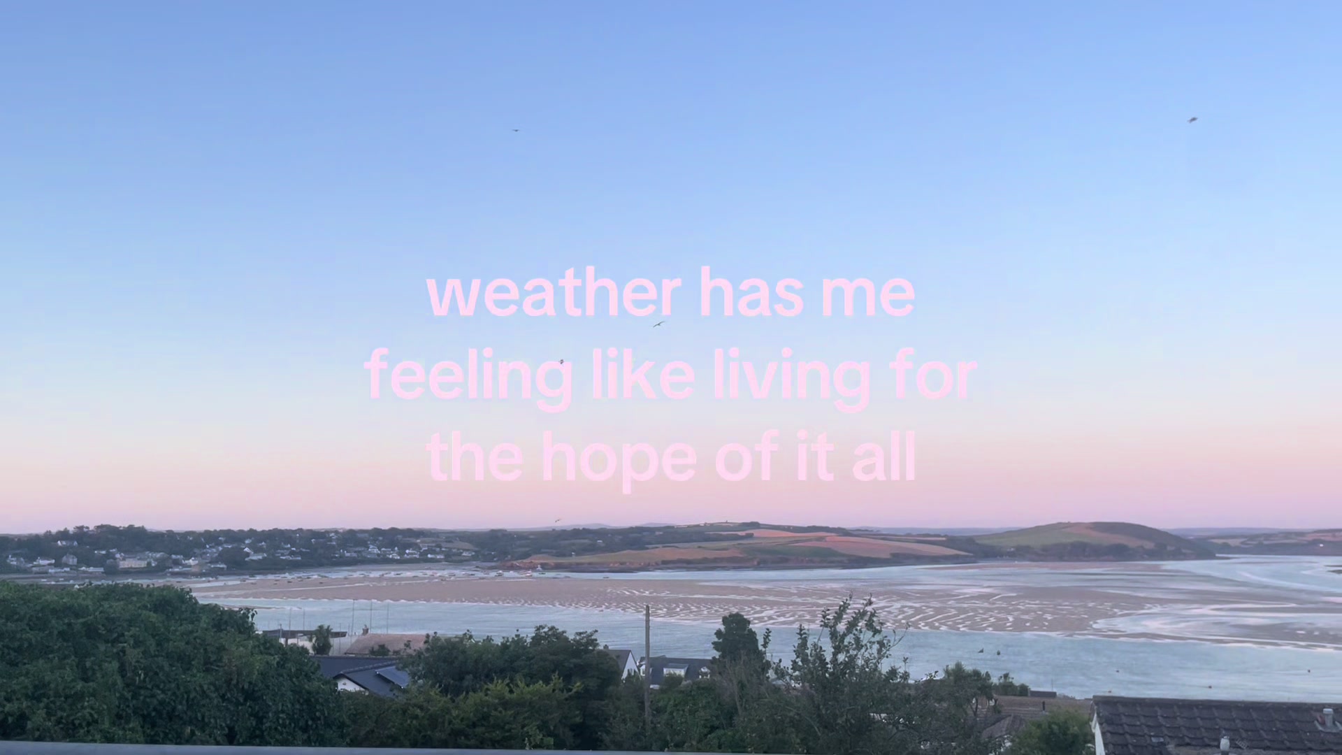 @ella⋆˚꩜｡