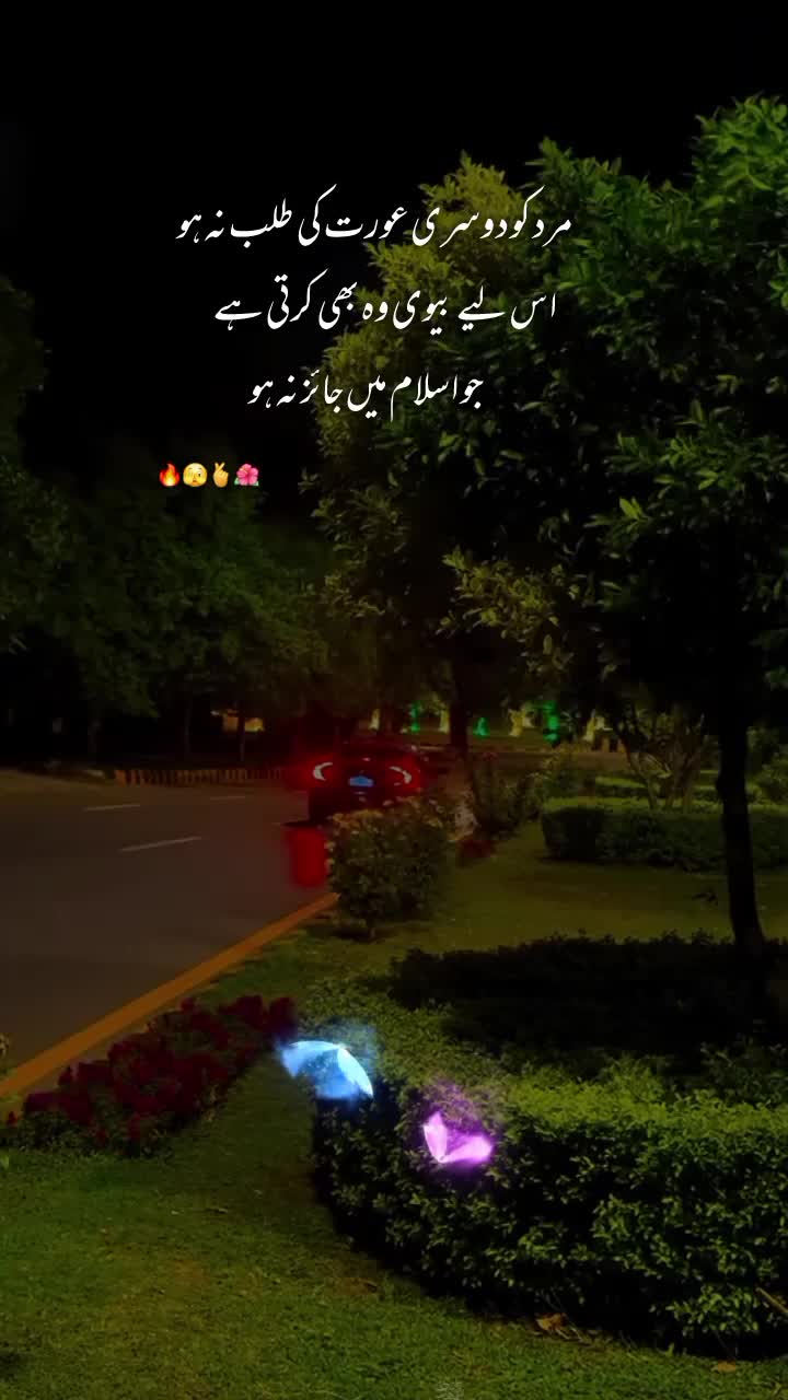 @NOOR 𔘓 / 🫥