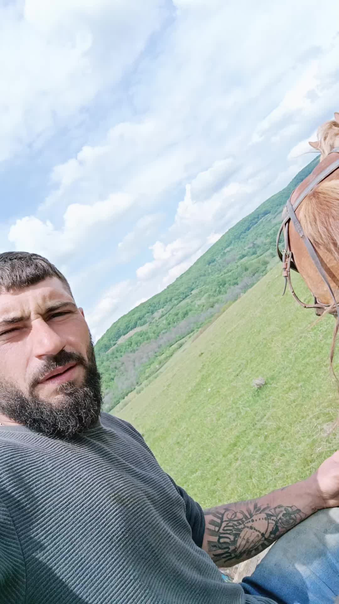 @Moldovan Tica