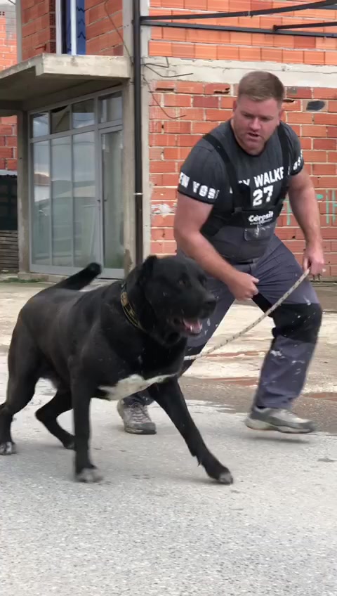 @CAMOKA.TR.KANGAL