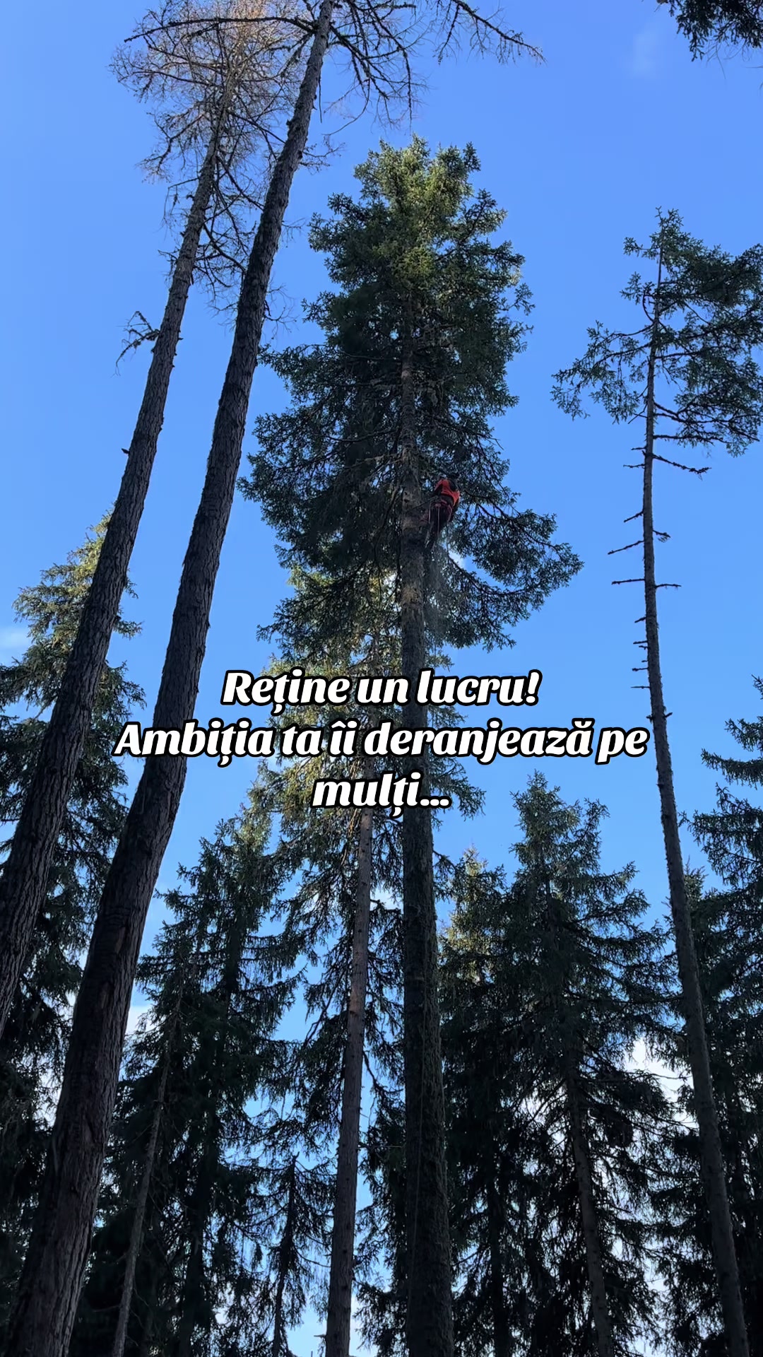 @Nicu Văsieș