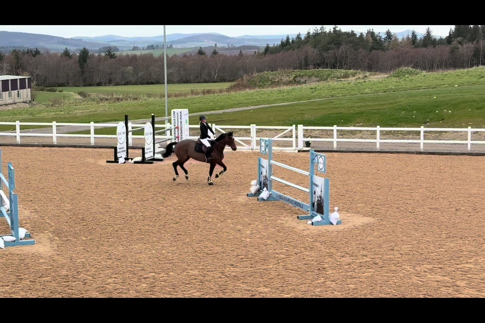 @RDHillEquestrian