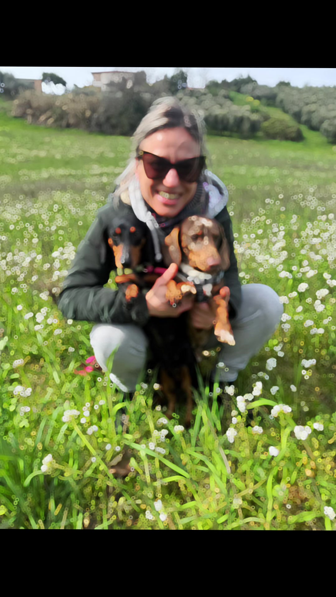 @The Dachshund House