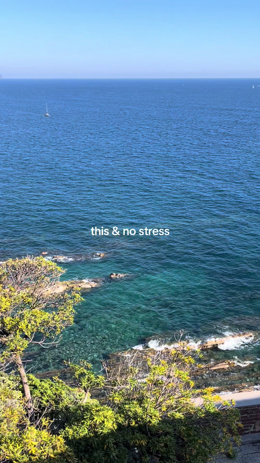 @simone