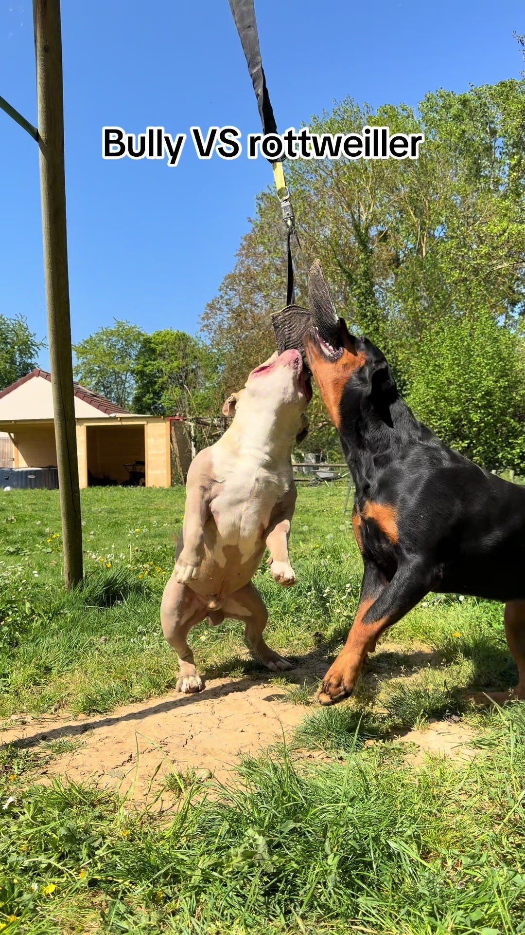 @kiara_isis_apbt