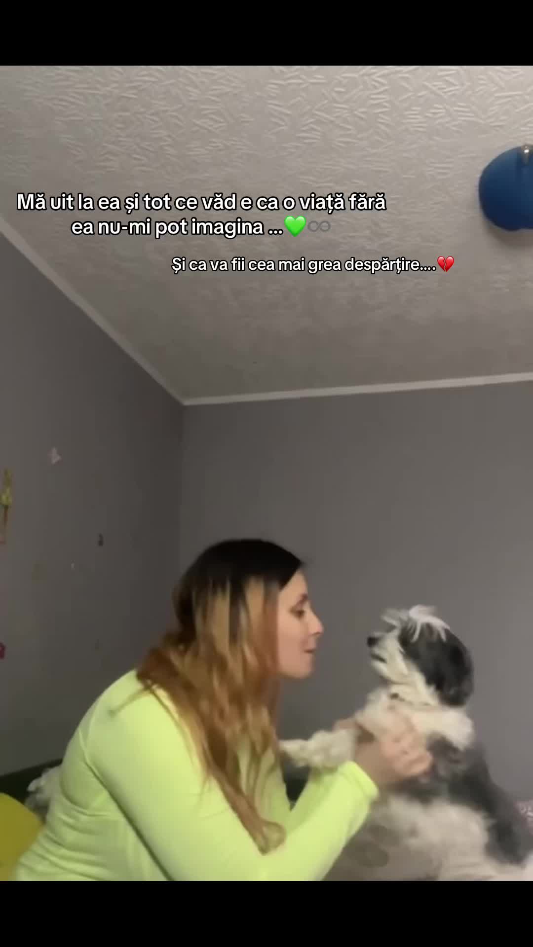 @Ilie Elena