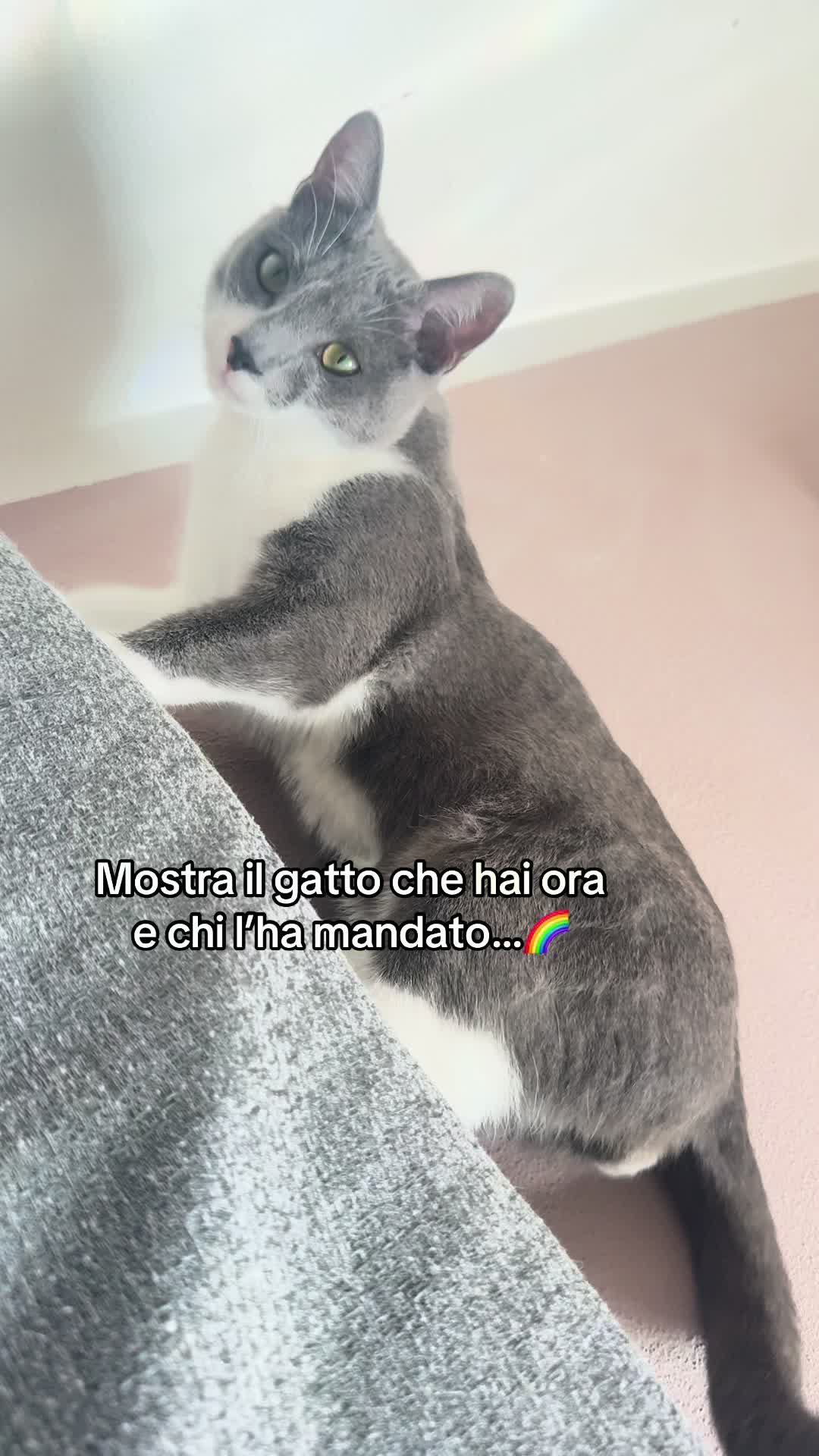 @ᏕᎯᎡᎯᎻ⚡️🌺