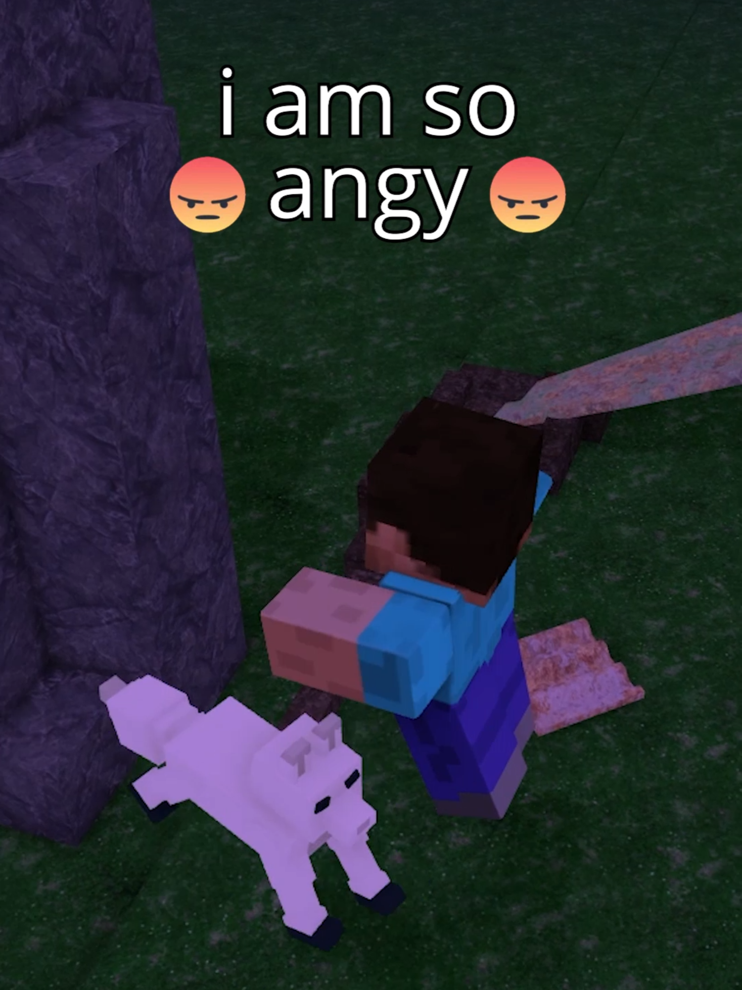 @shogozftw