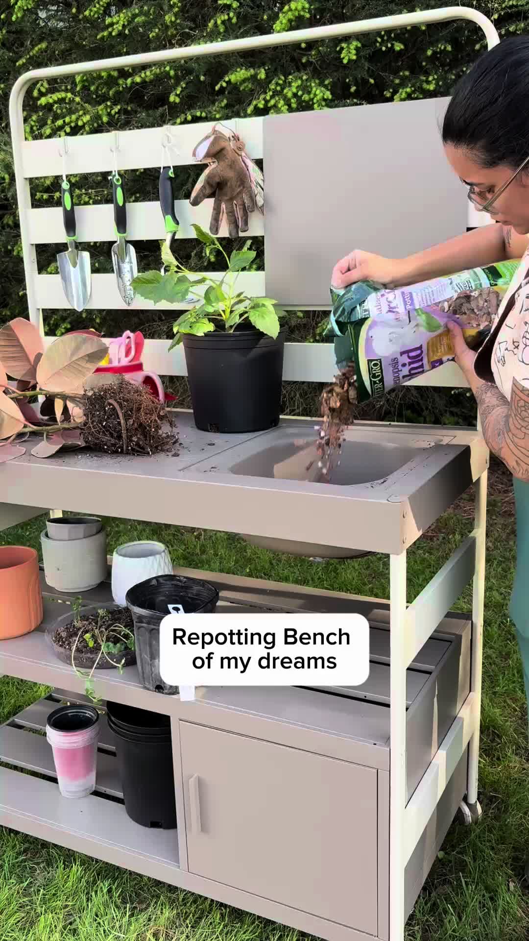 @Plantiiplants