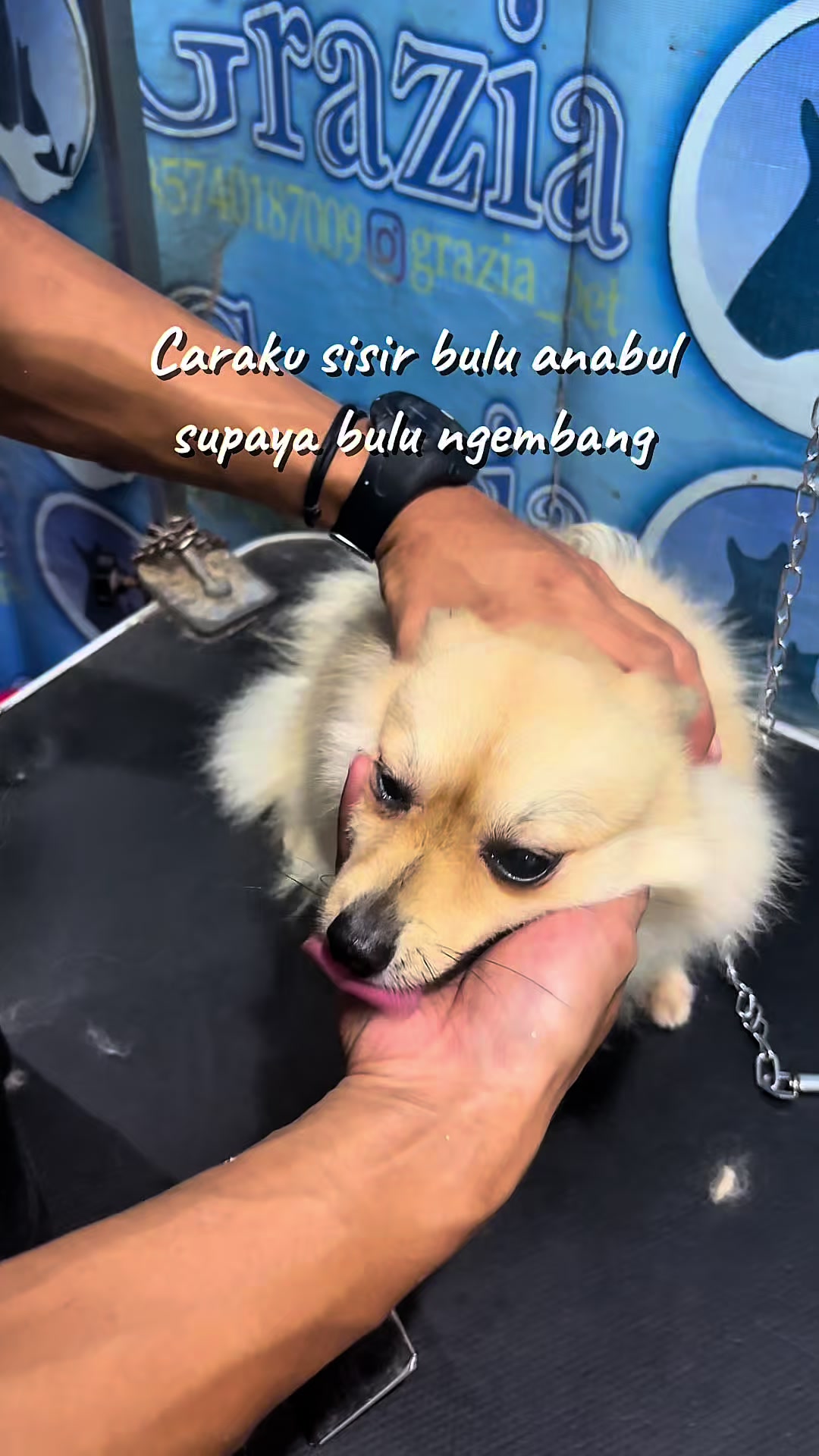 @Grazia Grooming Salatiga