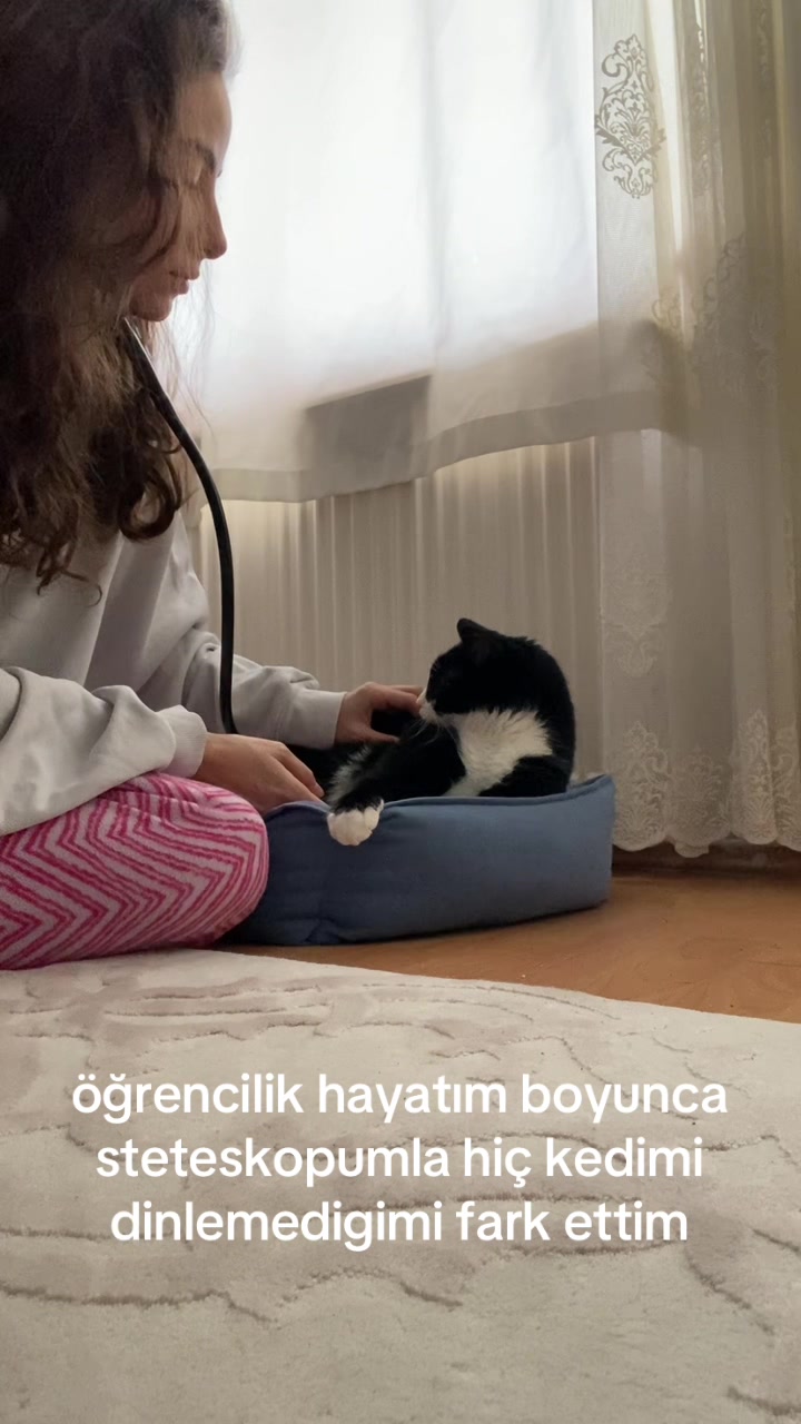 @vetzeymed