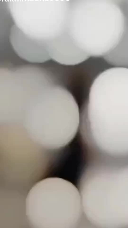 @๐ญโ๐ดโ๐นโโ๏ธ๐ถโ๐บโ๐ชโ๐ชโ๐ณโ)โฃ๏ธ
