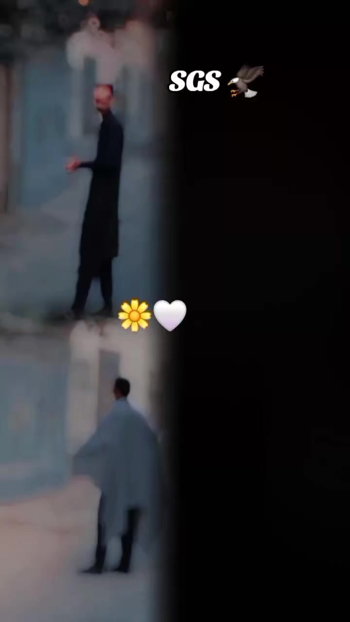@Dangiya🐍 shikari🕊 gujjar 🦅