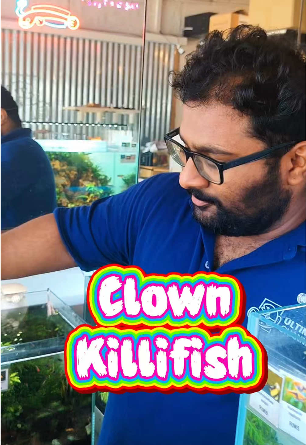 @Ultima Channa 🐠