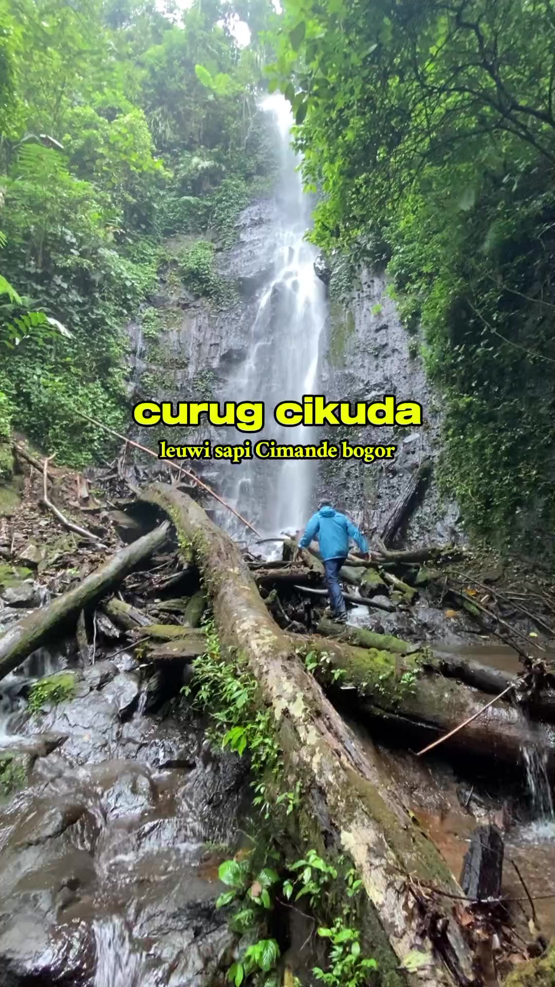 @kyubi_10