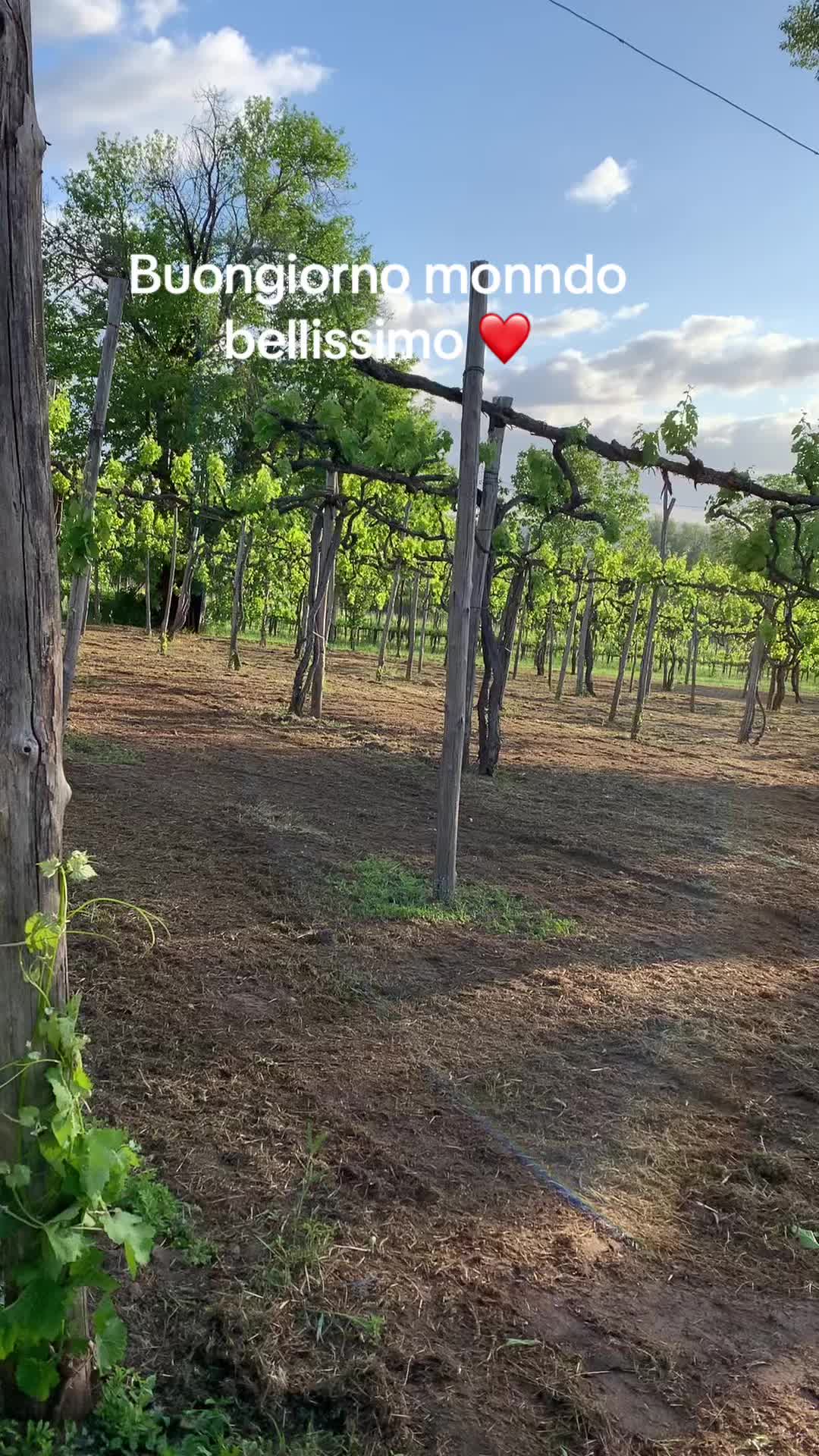 @ginaperone