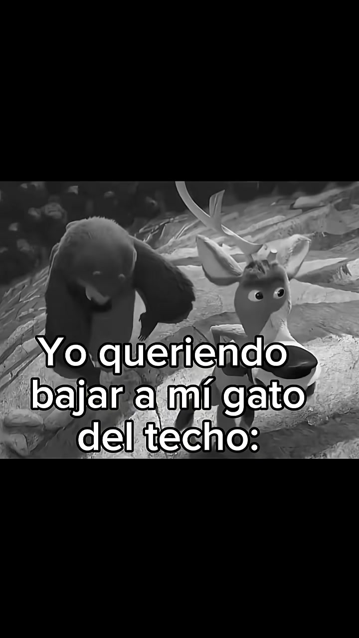 @yuliocesar029